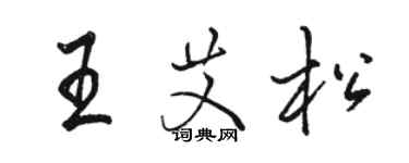 駱恆光王艾松行書個性簽名怎么寫