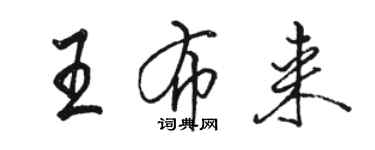 駱恆光王布來行書個性簽名怎么寫