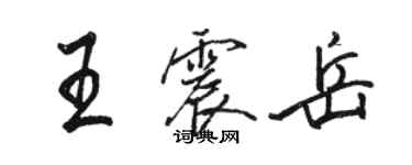 駱恆光王震岳行書個性簽名怎么寫