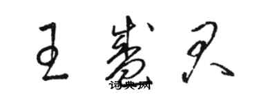 駱恆光王盛君草書個性簽名怎么寫