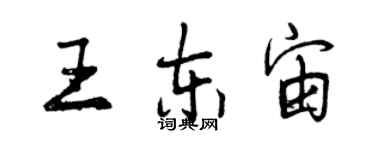 曾慶福王東宙行書個性簽名怎么寫