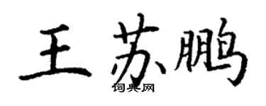 丁謙王蘇鵬楷書個性簽名怎么寫