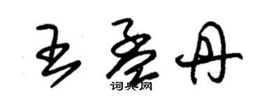 朱錫榮王孟丹草書個性簽名怎么寫