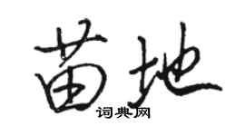 駱恆光苗地行書個性簽名怎么寫