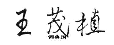 駱恆光王茂植行書個性簽名怎么寫