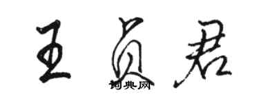 駱恆光王貞君行書個性簽名怎么寫