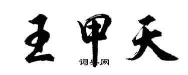 胡問遂王甲天行書個性簽名怎么寫