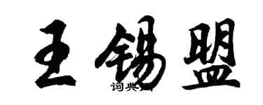 胡問遂王錫盟行書個性簽名怎么寫
