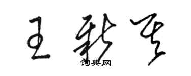 駱恆光王新其草書個性簽名怎么寫
