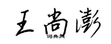 王正良王尚澎行書個性簽名怎么寫