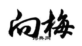 胡問遂向梅行書個性簽名怎么寫