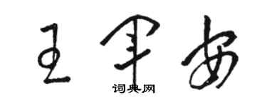 駱恆光王軍安草書個性簽名怎么寫