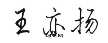 駱恆光王亦揚行書個性簽名怎么寫