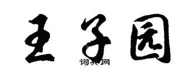 胡問遂王子園行書個性簽名怎么寫