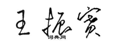 駱恆光王振賽草書個性簽名怎么寫