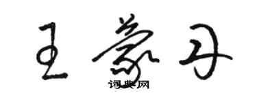 駱恆光王蒙丹草書個性簽名怎么寫