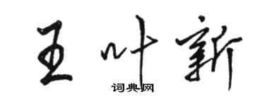 駱恆光王葉新行書個性簽名怎么寫