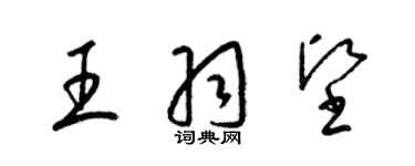 梁錦英王羽堅草書個性簽名怎么寫