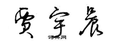 曾慶福賈宇晨草書個性簽名怎么寫