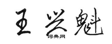 駱恆光王興魁行書個性簽名怎么寫