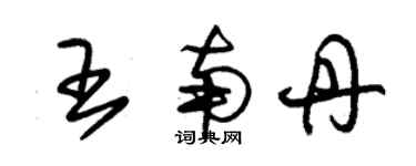 朱錫榮王南丹草書個性簽名怎么寫