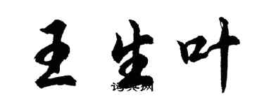 胡問遂王生葉行書個性簽名怎么寫