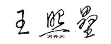 駱恆光王照壘草書個性簽名怎么寫