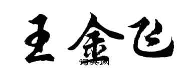 胡問遂王金飛行書個性簽名怎么寫