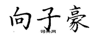 丁謙向子豪楷書個性簽名怎么寫