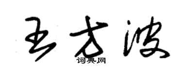 朱錫榮王方波草書個性簽名怎么寫