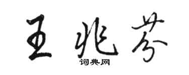 駱恆光王兆芬行書個性簽名怎么寫