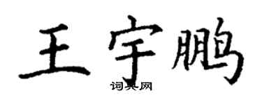 丁謙王宇鵬楷書個性簽名怎么寫