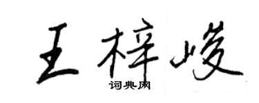 王正良王梓峻行書個性簽名怎么寫