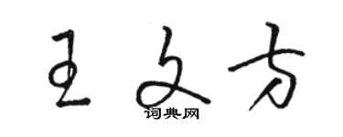 駱恆光王文方草書個性簽名怎么寫