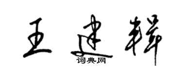 梁錦英王建輯草書個性簽名怎么寫