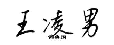 王正良王凌男行書個性簽名怎么寫