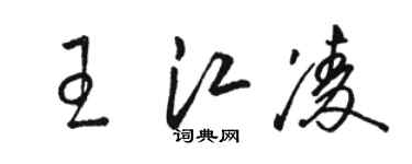 駱恆光王江凌草書個性簽名怎么寫