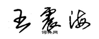 朱錫榮王震海草書個性簽名怎么寫