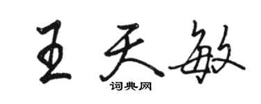 駱恆光王天敏行書個性簽名怎么寫