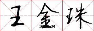 王金珠怎么寫好看