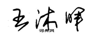 朱錫榮王沐暉草書個性簽名怎么寫