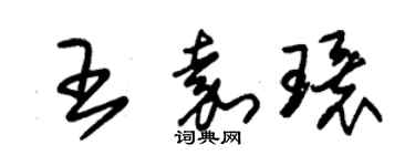 朱錫榮王嘉環草書個性簽名怎么寫