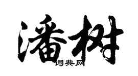 胡問遂潘樹行書個性簽名怎么寫