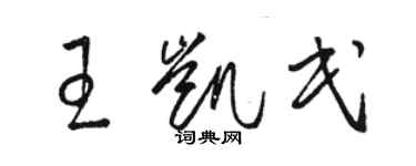 駱恆光王凱民草書個性簽名怎么寫