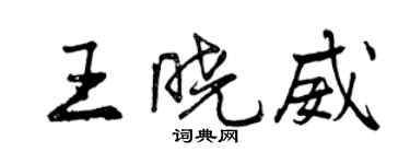 曾慶福王曉威行書個性簽名怎么寫
