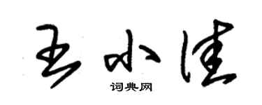 朱錫榮王小佳草書個性簽名怎么寫
