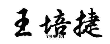 胡問遂王培捷行書個性簽名怎么寫