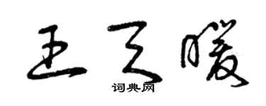 曾慶福王天暖草書個性簽名怎么寫