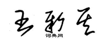 朱錫榮王新其草書個性簽名怎么寫