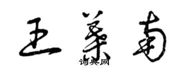 曾慶福王葉南草書個性簽名怎么寫